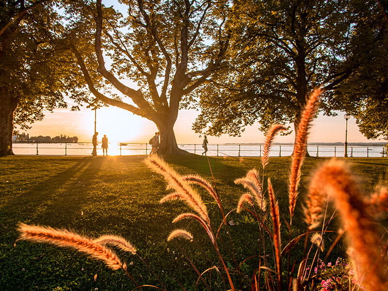 Bregenz-Bodensee-Sonnenuntergang Die perfekte Tagesabschluss
