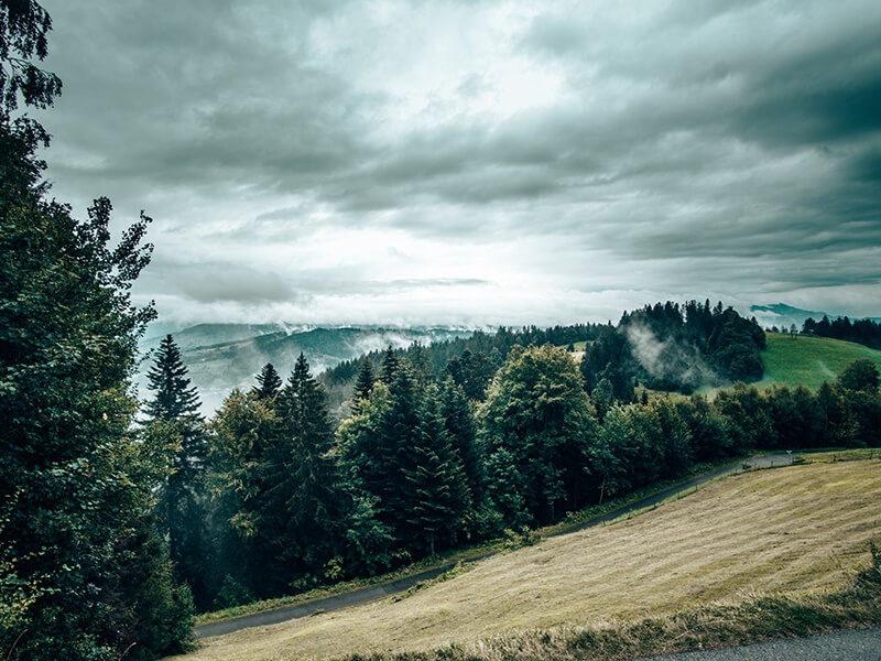 Bregenzer-Wald-Pfänder-Aussicht Blick in den Bregenzerwald