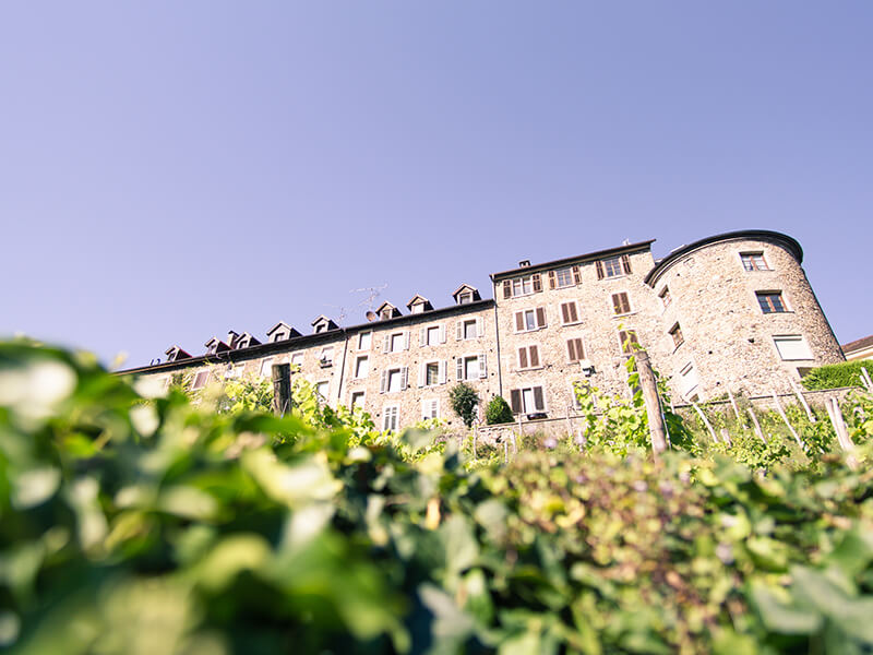 Oberstadt-Rundgang-Bregenz Die Bregenzer Oberstadt