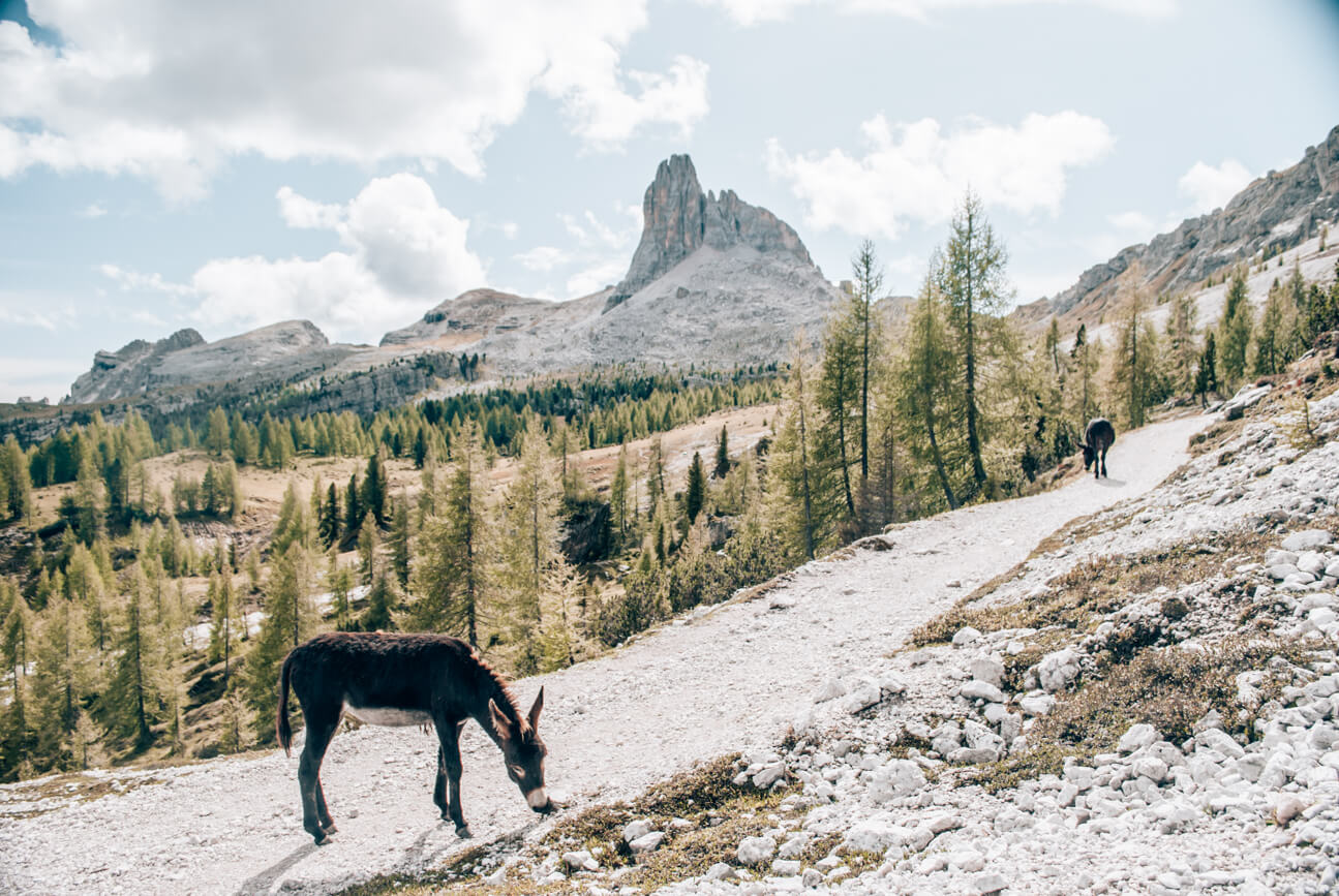 Malerische-Dolomiten-Wanderung Wandern durch die malerische Landschaft der Dolomiten