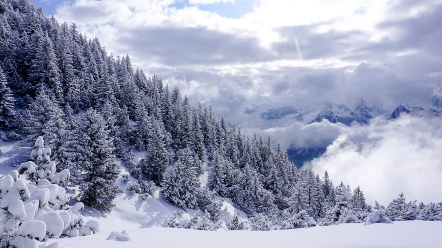 Winterwandern-Tipps Winterwandern Tipps
