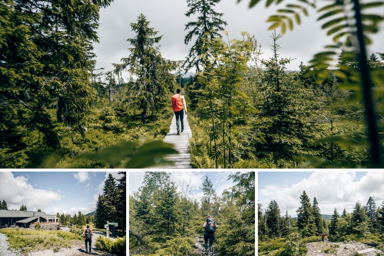 Arber-Wanderung Wanderung zum Arber im Bayerischen Wald