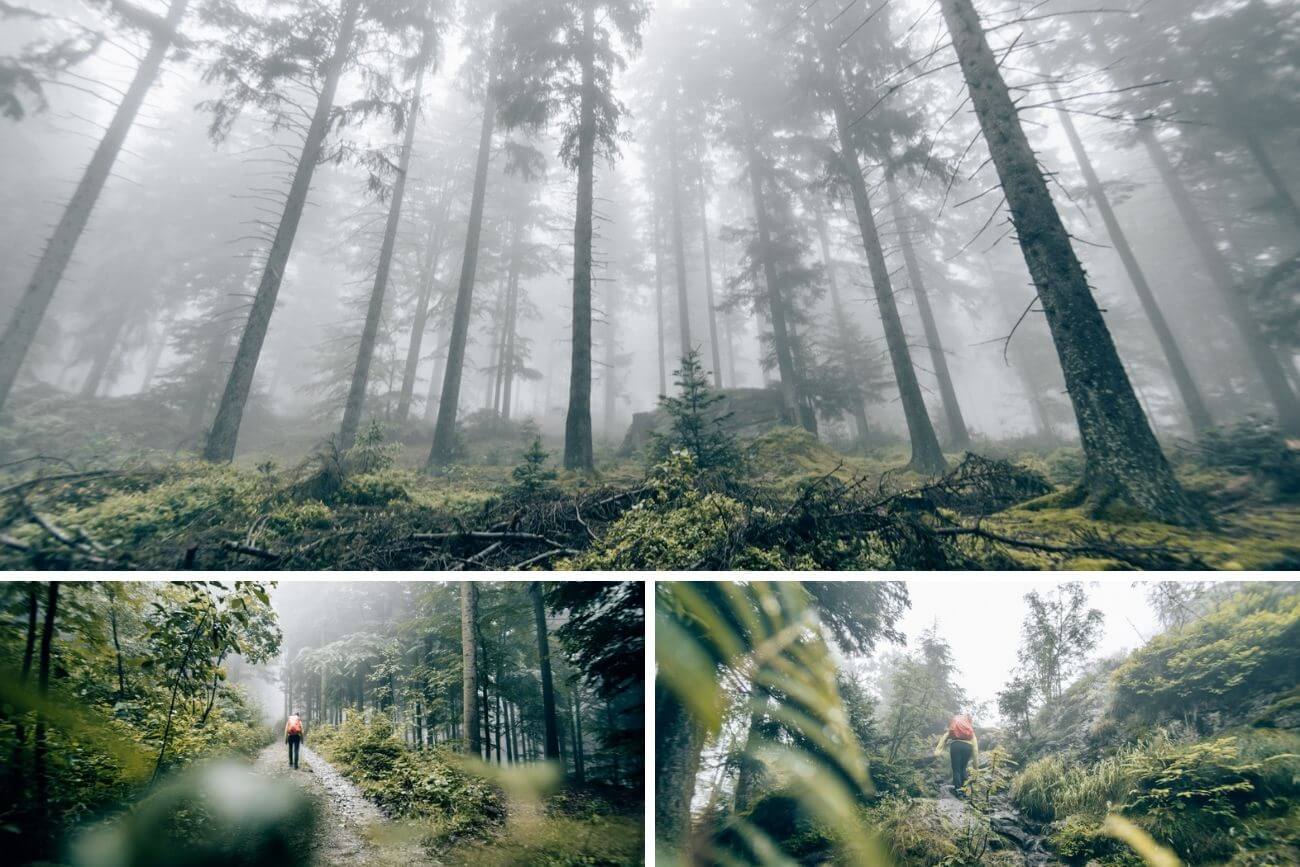 mystischer-Bayerischer-Wald