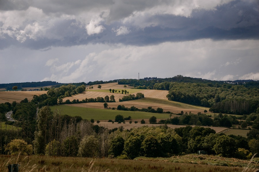 Ausblicke auf dem WesterwaldSteig