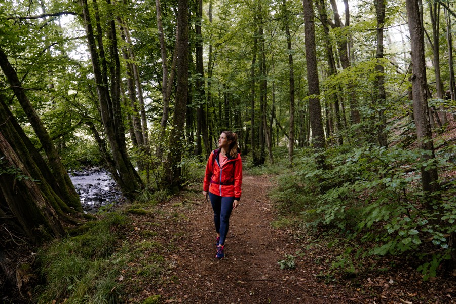 Waldwandern WesterwaldSteig