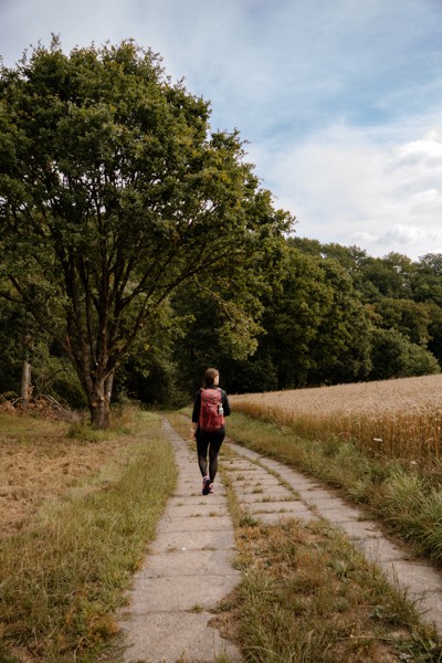 Wanderweg Wiesen