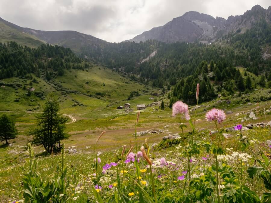 Colle del Mulo